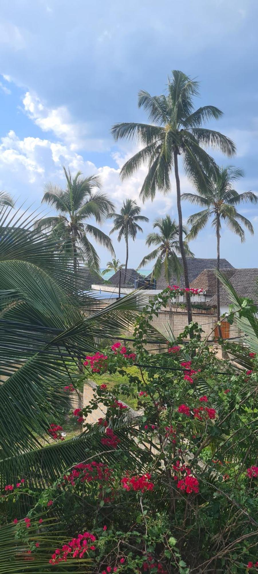 Mambo Boutique Nungwi Hotell Eksteriør bilde